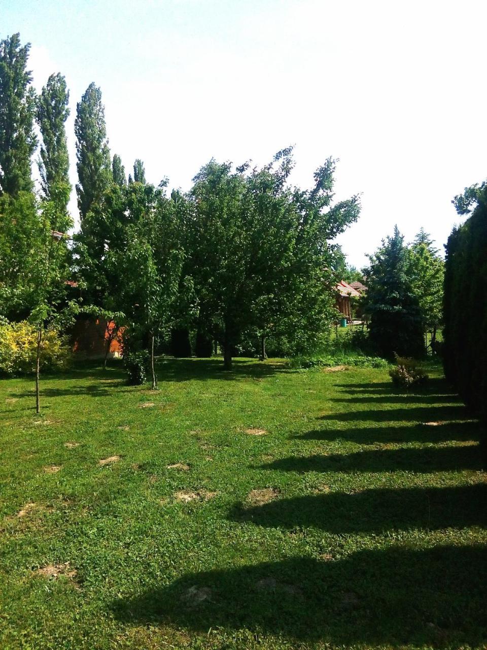 Benaja Swiss Nyaralóház Villa Keszthely Kültér fotó